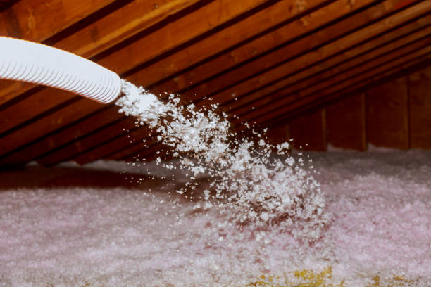Types of Insulation We Offer in Panguitch, UT